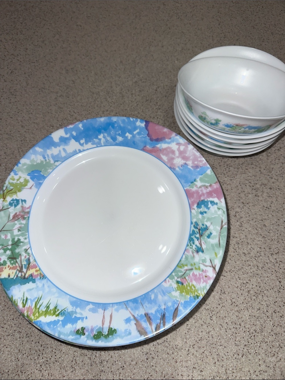 Arcopal Virginia glass pastel watercolor dinner plates & Bowls set France French